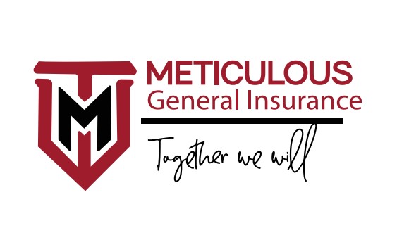 Meticulous Logo