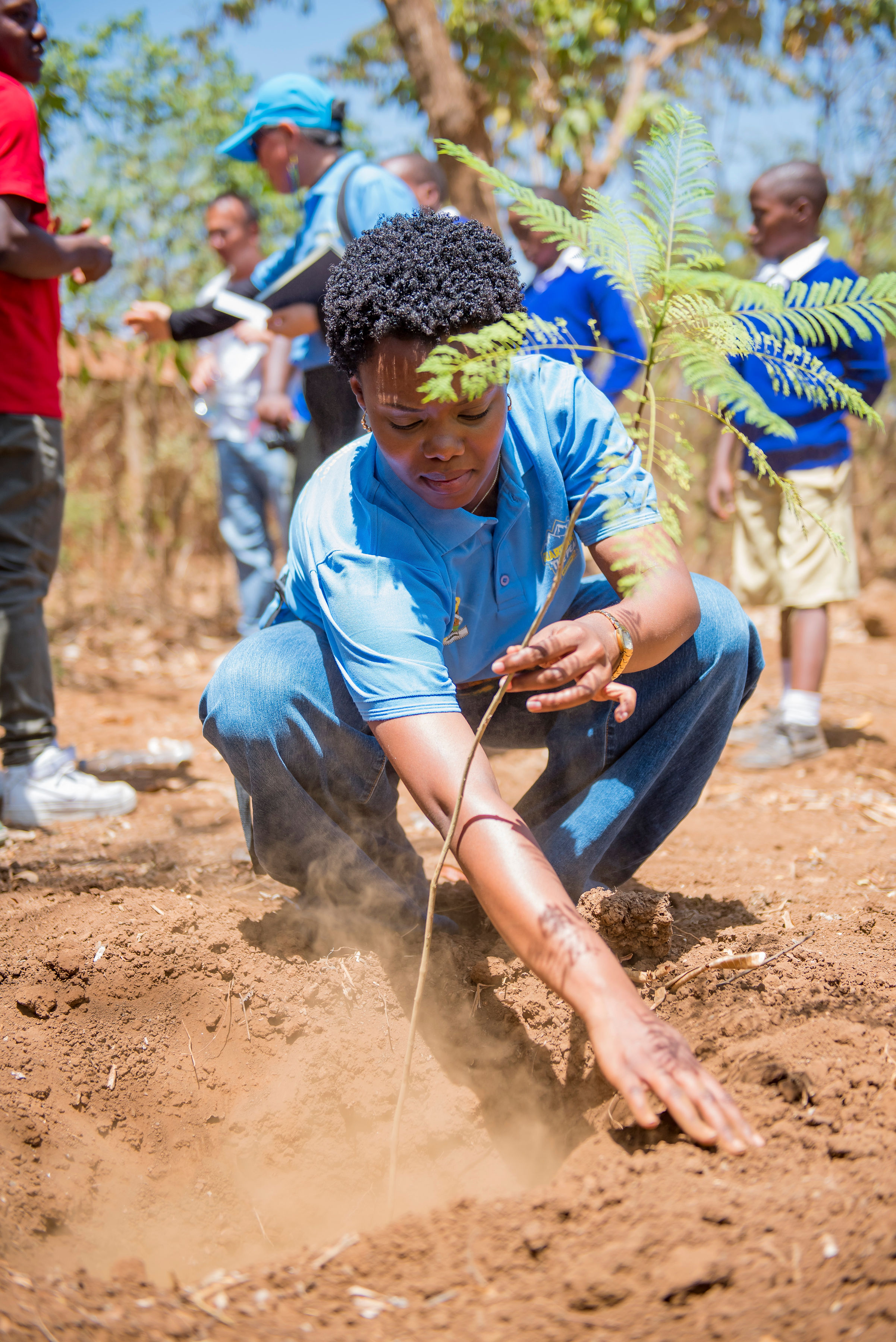 Planting Trees in Moshi