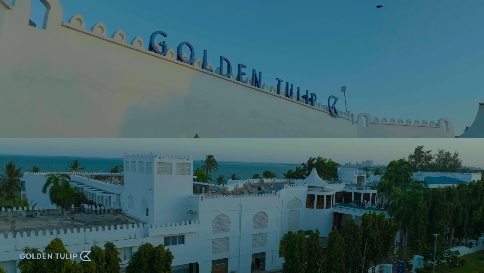 Golden Tulip